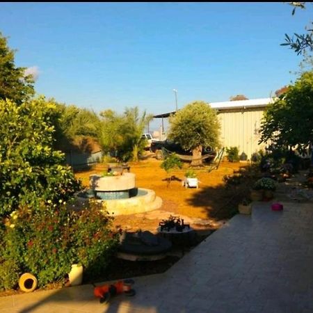 Apartament בחצר של טובה Hazon Zewnętrze zdjęcie
