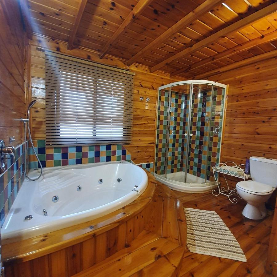 Apartament בחצר של טובה Hazon Zewnętrze zdjęcie