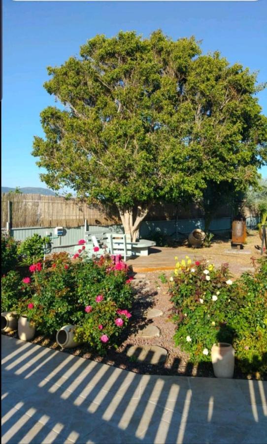 Apartament בחצר של טובה Hazon Zewnętrze zdjęcie