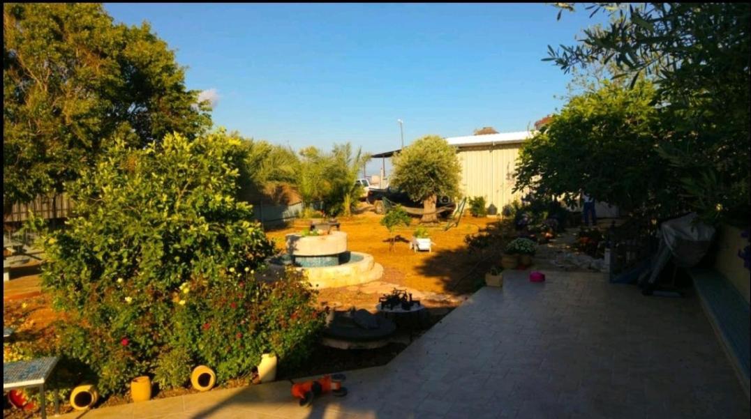 Apartament בחצר של טובה Hazon Zewnętrze zdjęcie